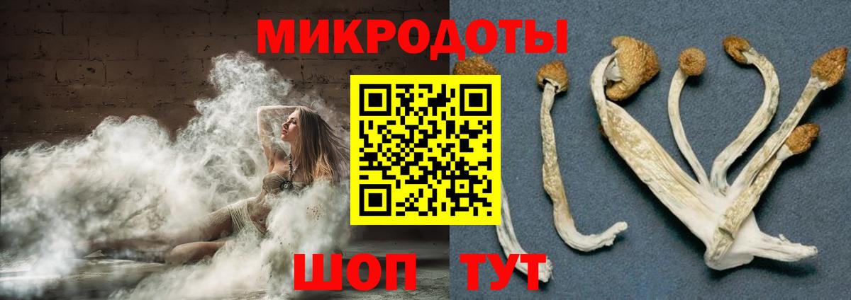 Галлюциногенные грибы мухоморы Коряжма