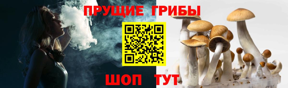Псилоцибиновые грибы мицелий  Вход с VPN  Коряжма 